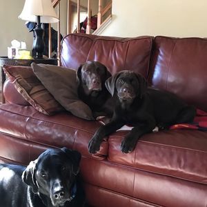 Meet your Posher, Marla